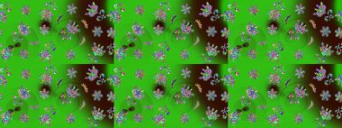 Raster illüstrasyonu. Raster illüstrasyonu. Kar Tanesi Simgesi. Yeşil ve kahverengi renklerde izole kar taneleri.