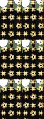 Raster illüstrasyonu. Klasik tropikal doğal elementlerin suluboya seti. Egzotik çiçekler, botanik parlak klasik siyah renkler.