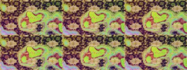 Damask çizimi tekrarlanıyor. Barok tarzında altın çiçekli süs. Antika altın tekrarlanabilir duvar kağıdı. Tarafsız renklerde altın element.