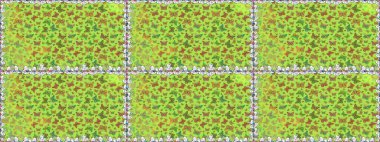 Şirin Raster çizimi. Kelebekler, yeşil renklerde, kusursuz desenler. Web sayfası arkaplanları, duvar kağıtları, tekstil, yüzey dokuları için mükemmel.