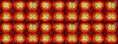 El yapımı stres önleyici kar tanesi. Yetişkin sanat terapisi için kış boyama sayfaları. Örtü, poster, tişört ya da dövme için şablon. Raster illüstrasyonu.