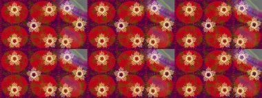Raster illüstrasyonu. Kırmızı, mor ve kahverengi renkler üzerine tasarım. Çiçek Elementleri 'nin soyut geçmişi. Raster kış deseni.