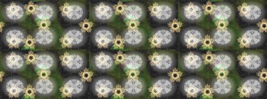 Paket kağıdı için en iyisi. Karşılama ya da düğün geçmişi olarak kullanılabilir. Doğal kozmetik ürünleri, parfüm, çiçekçi dükkanı için bahar ihalesi tasarımı. Yeşil, nötr gri lale çiçekli pürüzsüz desen