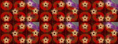 Zentangle kış kar tanesi Noel, yeni yıl için. FreeHand sanatsal etnik gösterim amacıyla yetişkin boyama sayfaları, Sanat Terapisi, bohem dövme, desenli t-shirt baskı, poster, logo Raster kroki.