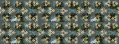 Grafiksel element dekorasyonu. Düz dizayn. Kar Tanesi Mozaik ikonu. Raster illüstrasyonu. Gri, yeşil ve nötr siluet kar tanesi işareti. Sembol kışı, donmuş, Noel, yeni yıl tatili.