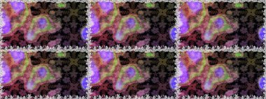 Çiçekler. Soyut etnik raster kusursuz desen. Vadinin çiçekleri kahverengi renklerde.