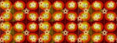 Renkli elementlerle Raster ilginç desen