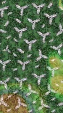 Renkli unsurlarla hareketli arka plan görüntüleri. Çiçekler. Eski model. Bayrak tarzı. Video kaydı. Şablon. Döngü. Kusursuz..