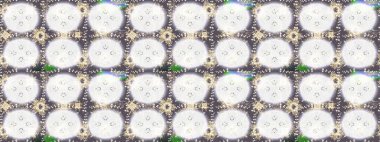 Lace Snowflakes 'in etnik kökü. Raster illüstrasyonu. Stilize Çiçekler. Mandalas 'ın dekoratif dokusu. Kumaş veya Duvar Kağıdı Tasarımı. Tekstil için Lacy Fashion Print. Halk Biçimi.