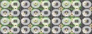 Kış. Renkli arka plan üzerinde izole suluboya kar taneleri. Kış sembolü. Raster illüstrasyon.