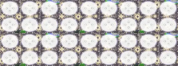 Lace Snowflakes 'in etnik kökü. Raster illüstrasyonu. Stilize Çiçekler. Mandalas 'ın dekoratif dokusu. Kumaş veya Duvar Kağıdı Tasarımı. Tekstil için Lacy Fashion Print. Halk Biçimi.