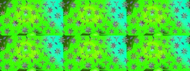 Yeşil renkli çiçekler. Hediye ambalaj kağıdı, tebrik kartları, posterler ve pankart tasarımı. Raster düz çiçek çizim deseni.