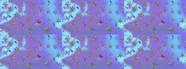 Sabıka fotoğraflarında, bebek kıyafetlerinde, duvar kâğıtlarında, paket kutularında falan kullanılabilir. Zarif, parlak ve eskiz mor çiçek desenli tasarım. Raster..