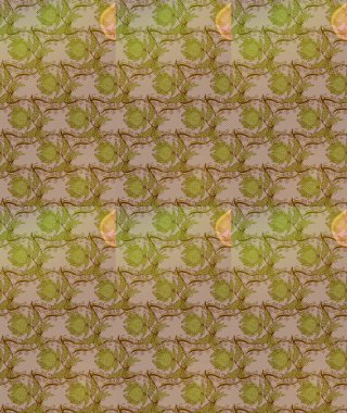 Raster suluboya çiçek deseni, narin çiçekler, bej rengi, kahverengi ve nötr çiçekler, tebrik kartı şablonu. Güzel kumaş deseni.