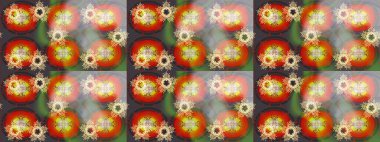 Çiçek Elementleri 'nin soyut geçmişi. Raster illüstrasyonu. Raster kış deseni. Renklere göre dizayn.