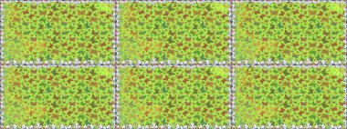 Yumuşak yeşil arka planda izole edilmiş şirin yaban sinekleri. Yeşil renkleri yakından izle. Sanat retro kaplanabilir açılış tasarımı tarzında serbest doğrusal mürekkep el logosu.