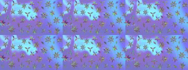 Raster illüstrasyonu. Mor kıvırcık çiçekler mor renkte şekillenir. Klasik çiçek tasarım elementleri.