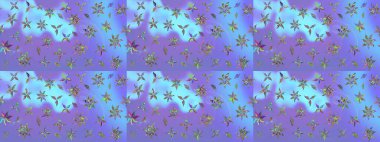 Mor renkli çiçekler. Yumuşak, bahar çiçekli arka plan. Raster çiçek desenli ve çiçekli..