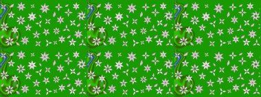 Eskiz arkaplan modeli. Yapraklı çiçekler ve yeşil renkli papatya çiçekleri. Raster - stok.