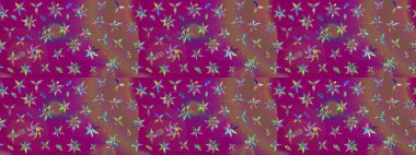 Raster düz çiçek çizim deseni. Hediye ambalaj kağıdı, tebrik kartları, posterler ve pankart tasarımı. Mor renkte çiçekler.