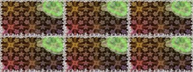 Kahverengi renkli çiçekler. Raster illüstrasyonu. Çiçeksiz desenli arka plan, vuruşlar, sıçramalar, yaz çiçekleri..