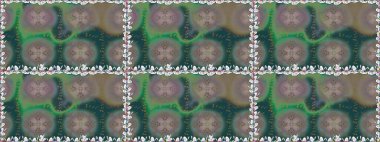 Birçok gri soyut çiçekli tropik, pürüzsüz desen. Varicologray raster kusursuz çizim. Küçük çiçekte sevimli çiçek deseni var..