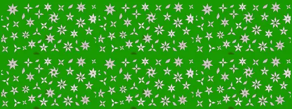 Botanik çizim kalıbı. Organik elementler. Raster deseni. Suluboya etkisi.