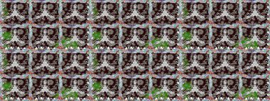 Çiçek arkaplan. Çiçek kompozisyonu. Doğa. Çiçek kolajı. Raster deseni. Küçük çiçekte güzel bir desen var. - Kahverengi çiçekler.