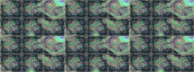 Nazik, narin çiçek arkaplanı. Mavi renkli çiçekler. Raster çiçek desenli ve çiçekli..