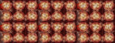 Kar taneleri tasarımı. Son moda kar taneleri ve elementler onun kartlarını gösteriyor. Süper tasarım posteri, kapak, kahverengi, kırmızı ve bej renkli kart tasarımı. Retro biçim dokusu, soyut kış elementleri.