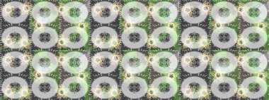 2019 Noel 'i, kar tanesi, yeni yıl. Altın elementli yeşil, gri ve nötr renklerde klasik eskiz deseni.