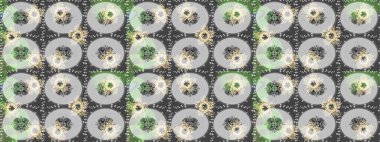 Zentangle soyut çiçekleri. Düz Çiçek Elementleri Tasarımı. Güzel kumaş deseni. Raster illüstrasyonu. Renkli Bahar Temalı Kusursuz Arkaplan. Çiçek tozu..