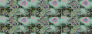 Şirin çiçekli, desenli, renksiz, nötr renklerde. Tekstil için dikişsiz suluboya desen. El çizimi çiçek pürüzsüz desen (taş)).