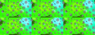 Yeşil renkli çiçekler. Nazikçe, güzel çiçek arkaplanı. Raster çiçek desenli ve çiçekli..