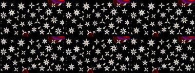 Zarif, parlak ve eskiz siyah çiçek desenli tasarım. Sabıka baskıları, bebek kıyafetleri, duvar kâğıtları, paket kutuları vb..