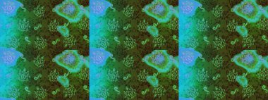 Lace Snowflakes 'in etnik kökü. Raster illüstrasyonu. Stilize Çiçekler. Mandalas 'ın dekoratif dokusu. Kumaş veya Duvar Kağıdı Tasarımı. Tekstil için Lacy Fashion Print. Halk Biçimi.