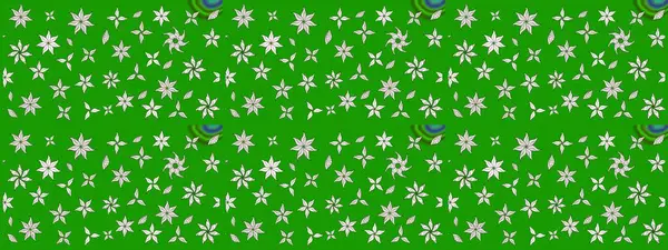 Etnik Mandala süsü. Kızılderili desenli desenli desenli şal deseni. Raster Henna dövme stili. Tekstil, tebrik kartı, boyama kitabı, telefon kılıfı baskısı için kullanılabilir.