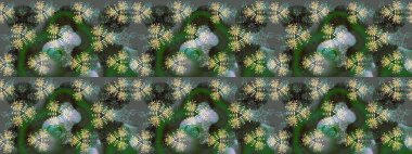 Meteoroloji buz koleksiyonu. Raster. Xmas Frost kar taneleri izole edilmiş siluet sembolü. Kar Tanesi raster ikonu arka plan yeşil, gri, nötr renk. Kış Noel 'i Kar bembeyaz kristal element.