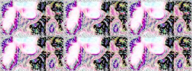 Raster illüstrasyonu. Tarafsız ve siyah renklerde çiçekler. Kusursuz çiçek deseni. Raster illüstrasyonu. Asya tekstil tarzında.