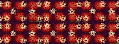 Kar taneleri izole edildi. Güzel süs eşyası. Kar tanesi süsü Raster illüstrasyonu. Renklerdeki kar tanesi süsü.