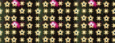 Gri renkli gri papatya deseni. Raster illüstrasyonu. Gri renklerde.