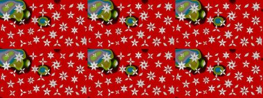 Vadinin çiçekleri kırmızı renklerde. Raster çiçek desenleri çiziyor..