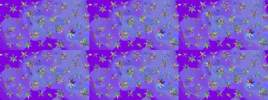 Üst manzara, yumuşak menekşe rengi. Sevgililer günü ve tebrik kartı konsepti için şık bir davetiye. Çiçek kompozisyonu, el boyası, hassas şablon. Manzaralı çiçek deseni.