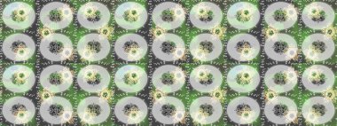 Kullanılabilir Tekstil, tebrik kartı, boyama kitabı, telefon durumda yazdırma için. Raster kına dövme tarzı. Etnik Mandala süsleme. Hint çiçek desenli madalyon desen.