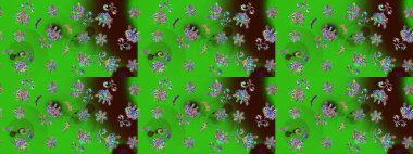 Renkli arka planda izole tatlı kar taneleri. Kar tanesi raster deseni. Yeşil ve kahverengi renkli kar taneleri. Raster illüstrasyonu.