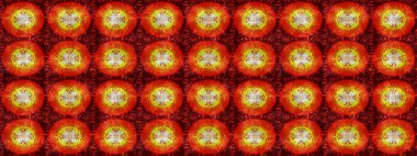 Renkli kar taneleri Raster çizimi. Güzel bir kış süsü. Kırmızı, turuncu ve kahverengi kar tanelerinden izole edilmiş..