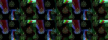 Düz Çiçek Elementleri Tasarımı. Renkli Bahar Teması eskiz kalıbı. Siyah renkli çiçekler. Asya tekstil tarzında. Raster illüstrasyonu. Çiçek desenini çiz.