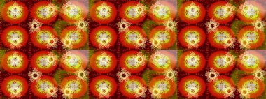 Kusursuz çiçek deseni duvar kâğıdı olarak kullanılabilir. Raster illüstrasyonu. Turuncu, kahverengi ve kırmızı renkte çiçekler.