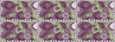 Çiçeksel elementlerle süslenmiş zarif raster dokusu. Mor renkler ve parlak çiçekler üzerinde soyut, pürüzsüz desen. Küçük çiçekte şirin bir çiçek deseni var..