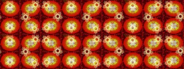 Noel kar taneleri ile arka plan. Raster resim. Kış arka plan. Raster Noel renkli arka plan ile düşen kar tanesi.